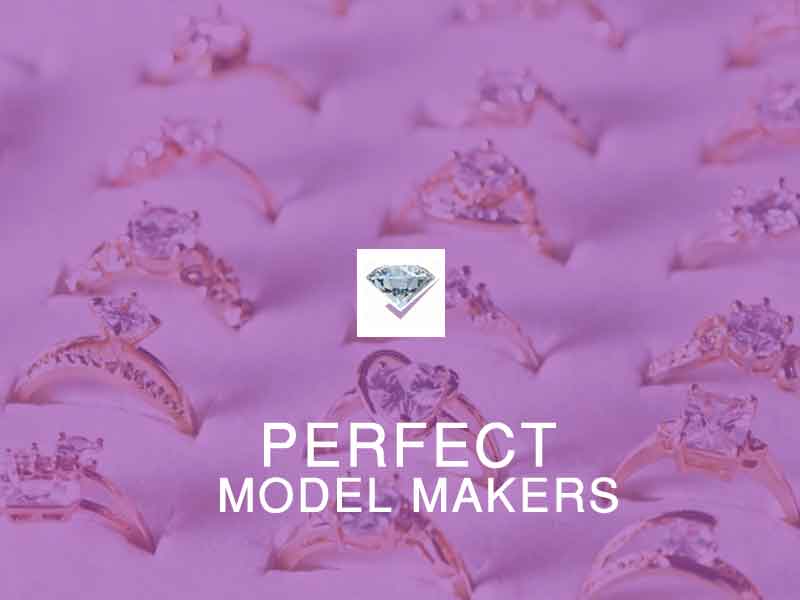 Perfect Model Makers